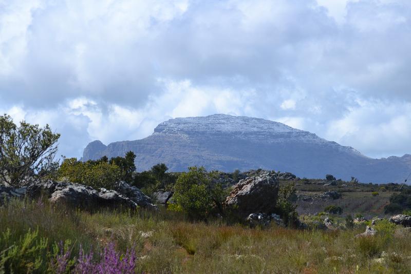 5 Bedroom Property for Sale in Piketberg Rural Western Cape